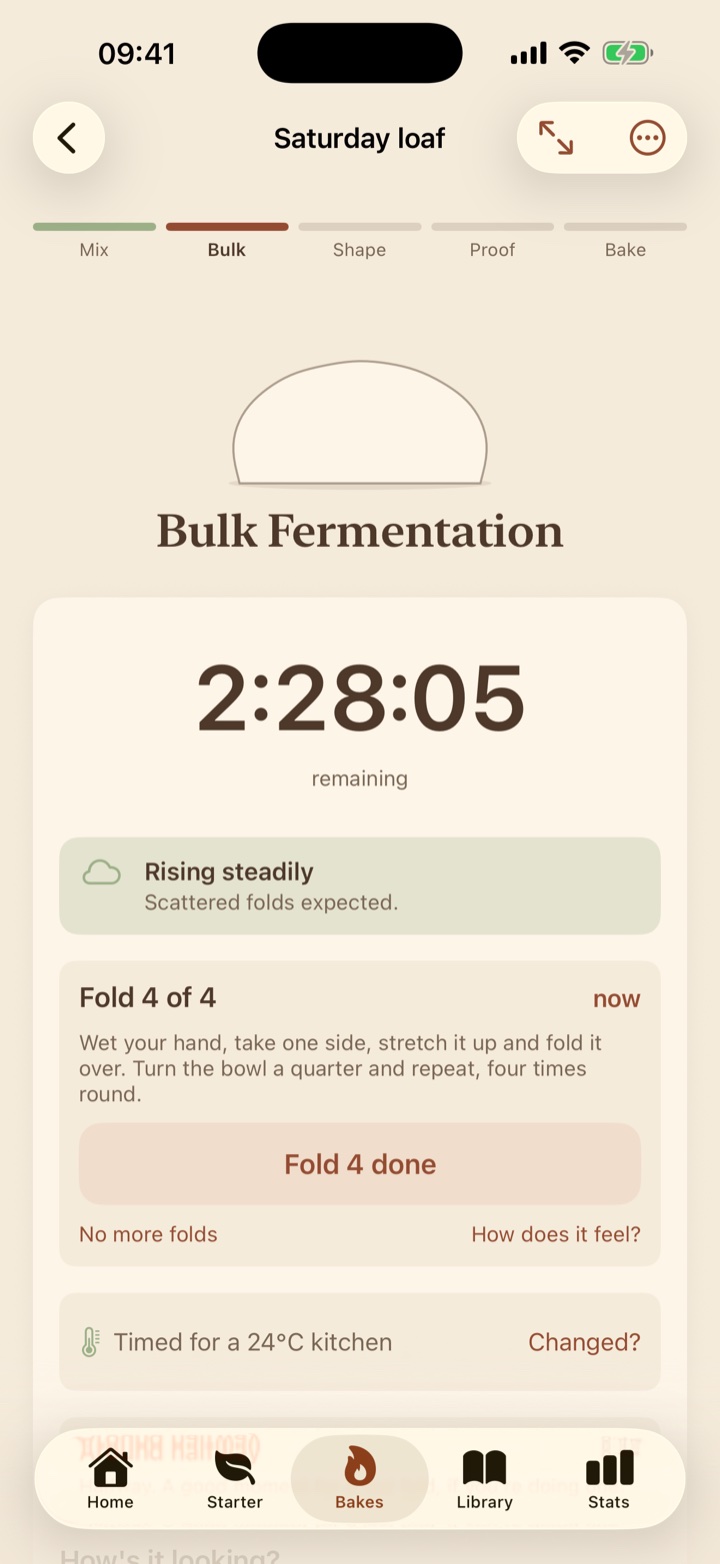 The bake screen: bulk fermentation with a countdown and the next fold.